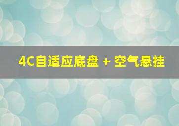 4C自适应底盘 + 空气悬挂